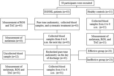 Reassessment of oxidative stress in idiopathic sudden hearing loss and preliminary exploration of the effect of physiological concentration of melatonin on prognosis